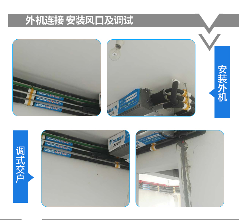 ���������{���b